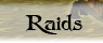 Raids